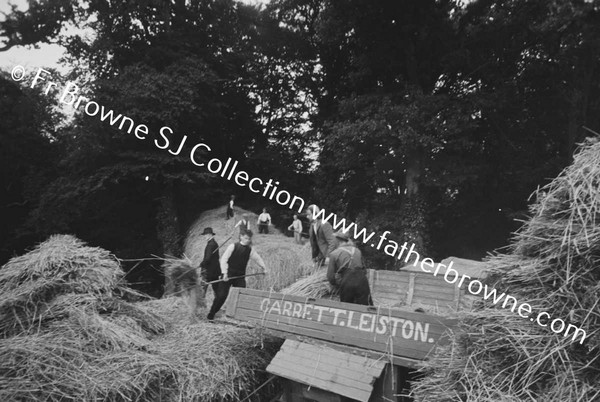 THRESHING AT ST MARYS